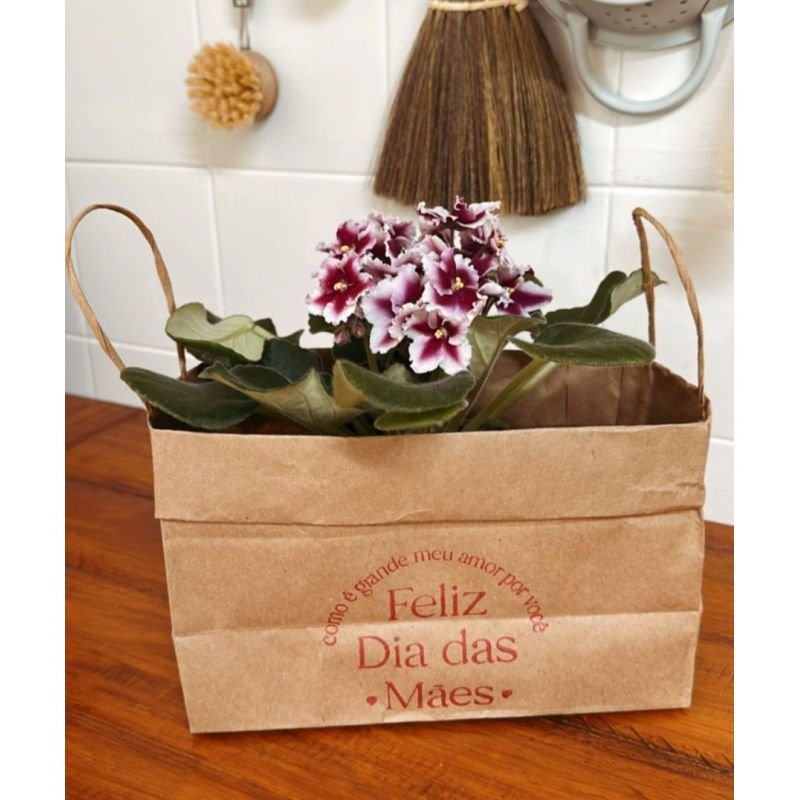 DIA DAS MÃES